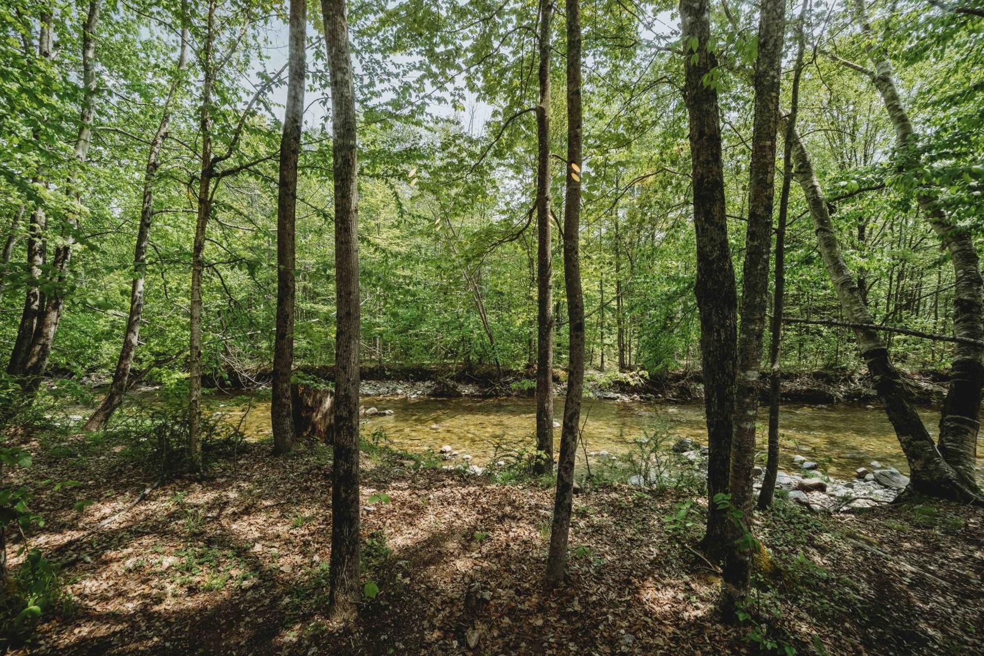 Lumen Nature Retreat Woodstock Rum bild